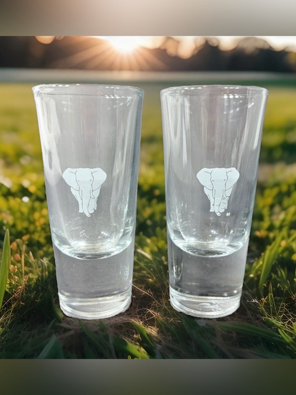 Crisa Double Shot Glass Frosted Elephant Pattern, Heavy Bottom, 4oz 4.25in